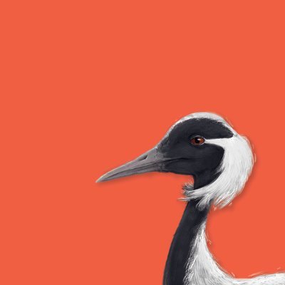 Dhruv Rakesh || COMMS OPEN