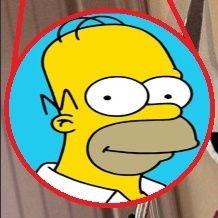 homer