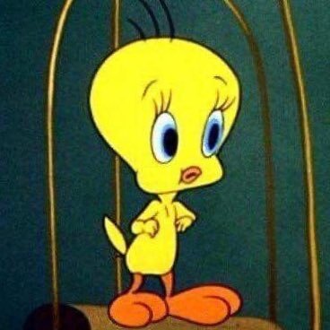 大類🏳️‍🌈🏳️‍⚧️🍉