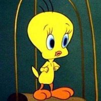 大類🏳️‍🌈🏳️‍⚧️🍉