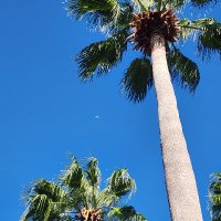 2027🥎 Baller 🥎