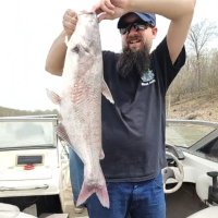 Dave Gosh (chipandachairdave)