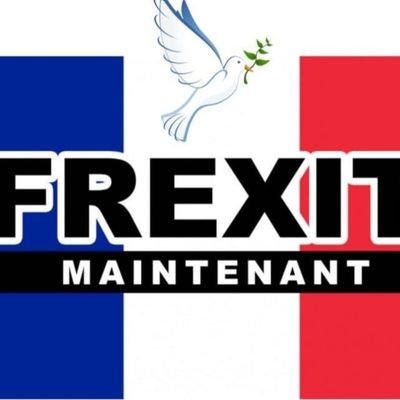 vladimir poutaine🇨🇵