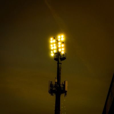 tales from the paddock