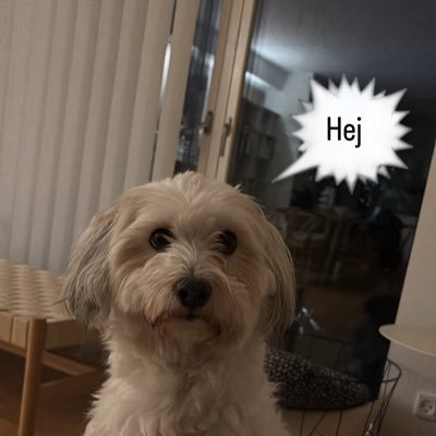 Mikkel Skou Kristiansen