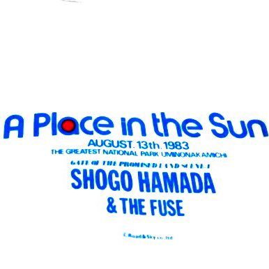 SKYLINE ECR33 4dr MT