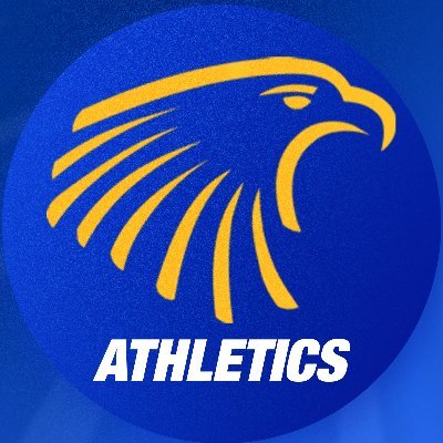 Embry-Riddle Eagles
