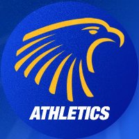 Embry-Riddle Eagles