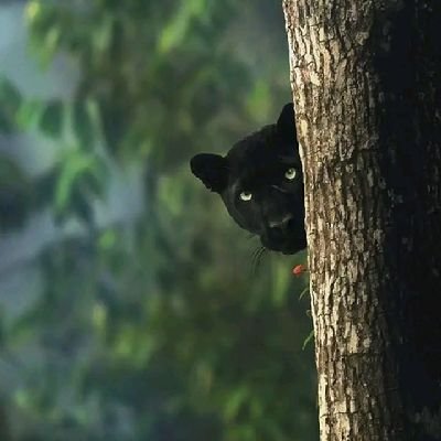 No puede estar en blanco