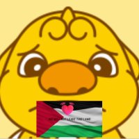 🦁Haechi-ヘチ-해치⭐️💛🇰🇷🤝🇯🇵🐾れいわ応援FREE‗PALESTINE