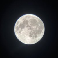 🌈笑顔の種まき隊 ジナン