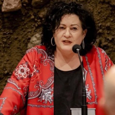 Caroline van der Plas