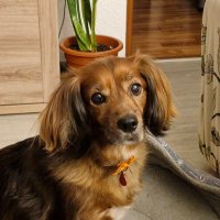 AniaMatheu@ 🇽🇰 🏴󠁧󠁢󠁥󠁮󠁧󠁿