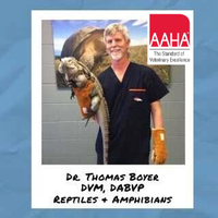 Pet Hospital of Penasquitos