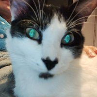 Prim en llamas🔥🛰️