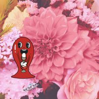 ゆかちykchN_i0707