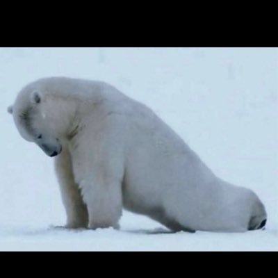 Dan “dab pen” Barry