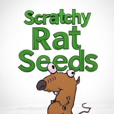 Scratchy Rat Seeds