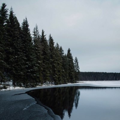 فجر المعرفة