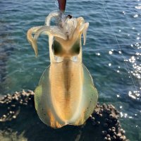 ゆーーーろん☺︎