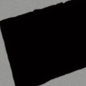 みりん漬けのせみ