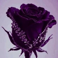 FUNCIONARIA APS DGS Tunas