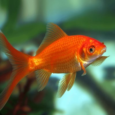 SyssyphusZDoppleGanger