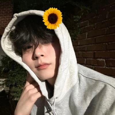 리파 🌻 𓂃˚‧ 𓆸
