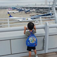 キノミミ@子育てママ🚅👦✈