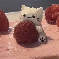 ‧₊˚🖇✩nisha