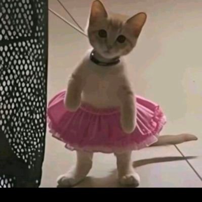 想到oai怎么来的我就高兴