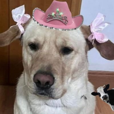 Hija de Ponchendy 🐶 #SiempreRojos ❤️🇲🇽