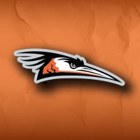 Delmarva Shorebirds