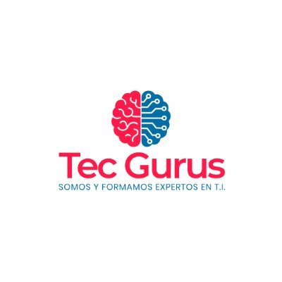 TecGurus