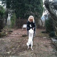 Annasol 4 🌱 🐖🐄🐈🐓🐑