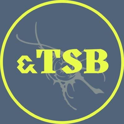 &TEAM Streaming Base