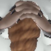 tiki_ポケカ@札幌