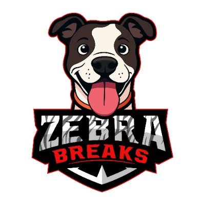 Referee Brandon Tolle