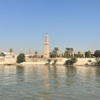 Ali 🇮🇶🇳🇱