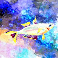 Popon 🖥️MV的創作小説