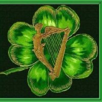 This is Ireland 🇮🇪☘️