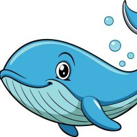 Whale Alert.io🚨🚨