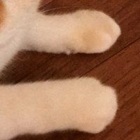 エマノン@のんのん🎧🔧