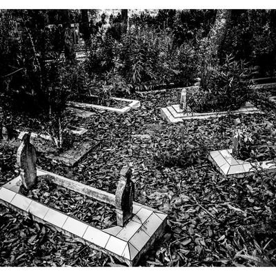 شيرلي ابريليا مريان