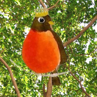 Robin Royalty Jewelry