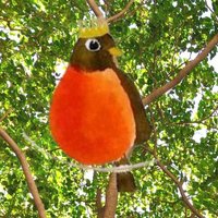 Robin Royalty Jewelry