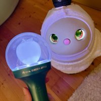 ℛ𝒾𝓃𝒸𝒶✿*ﾟとlovot み̆̈そ̆̈ら̆̈*♡.°⑅と🍏