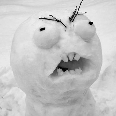 crazysnowman