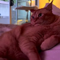 bunlarla calismak zorunda kalana allah sabir versi