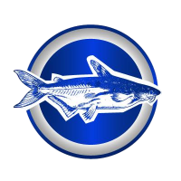 BASA FISH NETWORK
